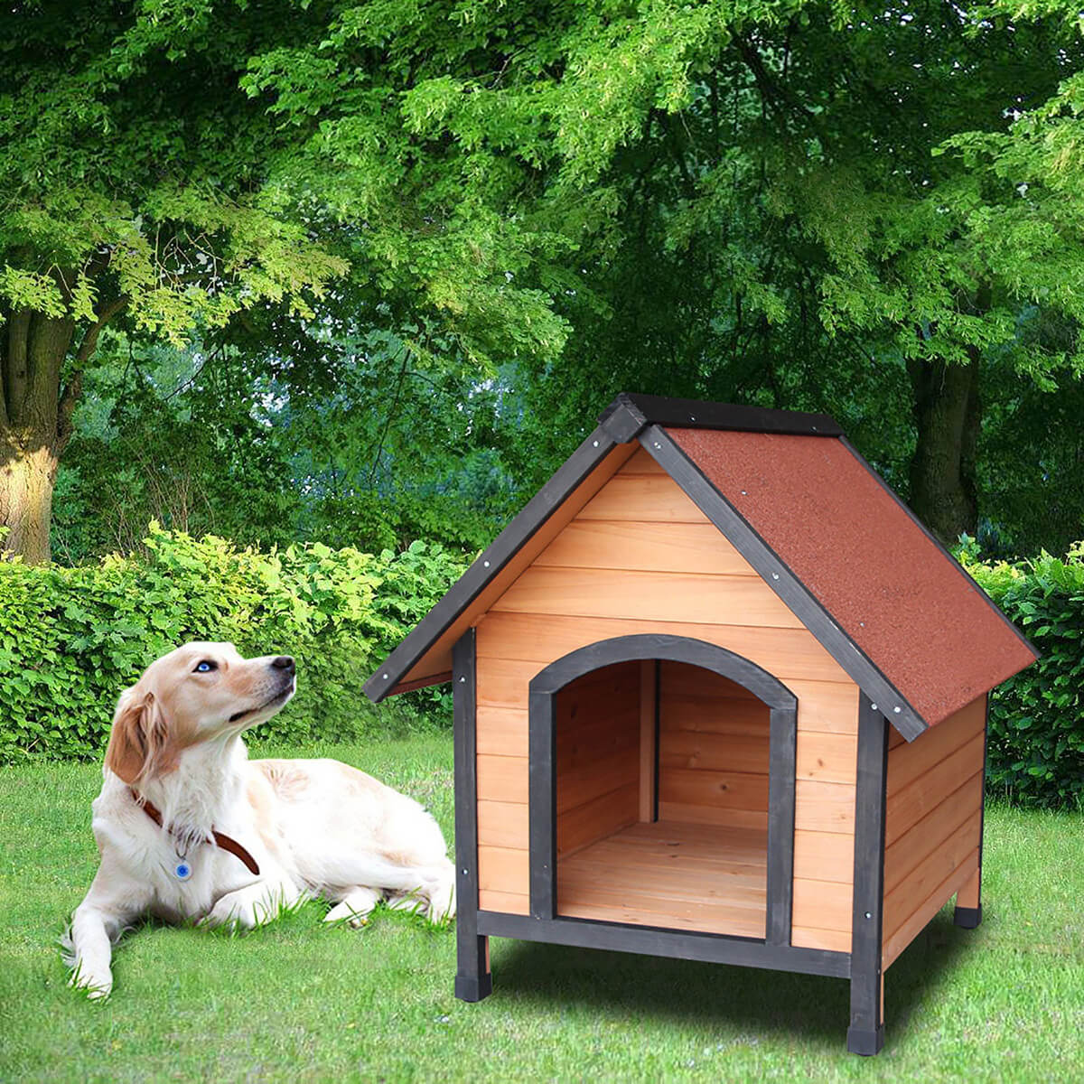 simple dog house