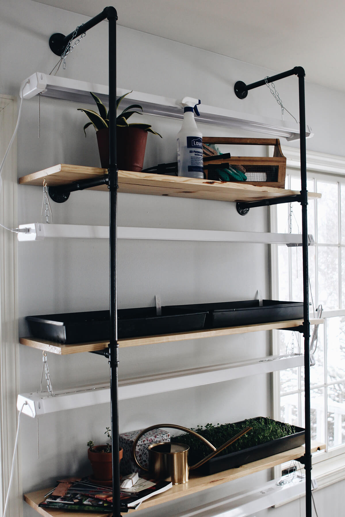 Indoor Garden on Shelves Made of Pipe and Wood