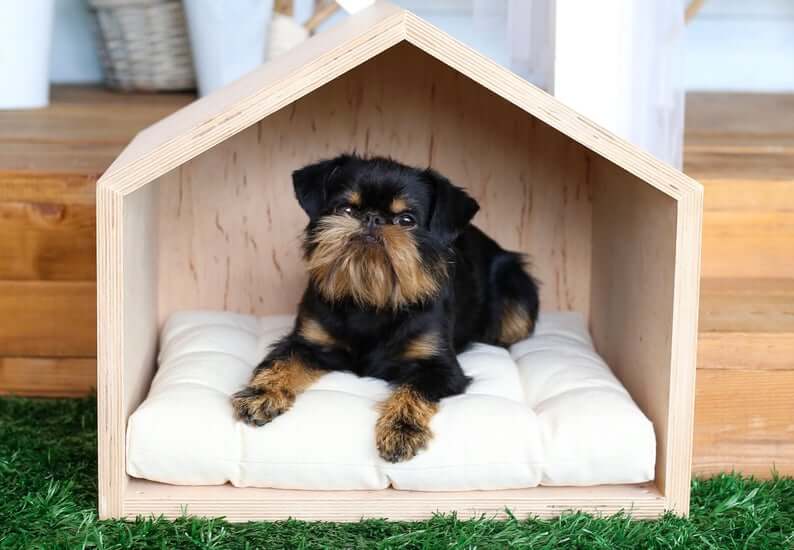 Petite Outdoor Dog Kennel for Daytime Use