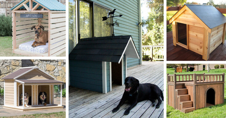 Featured image for 18 Super Cute Outdoor Dog House Ideas that your Pet will Absolutely Adore