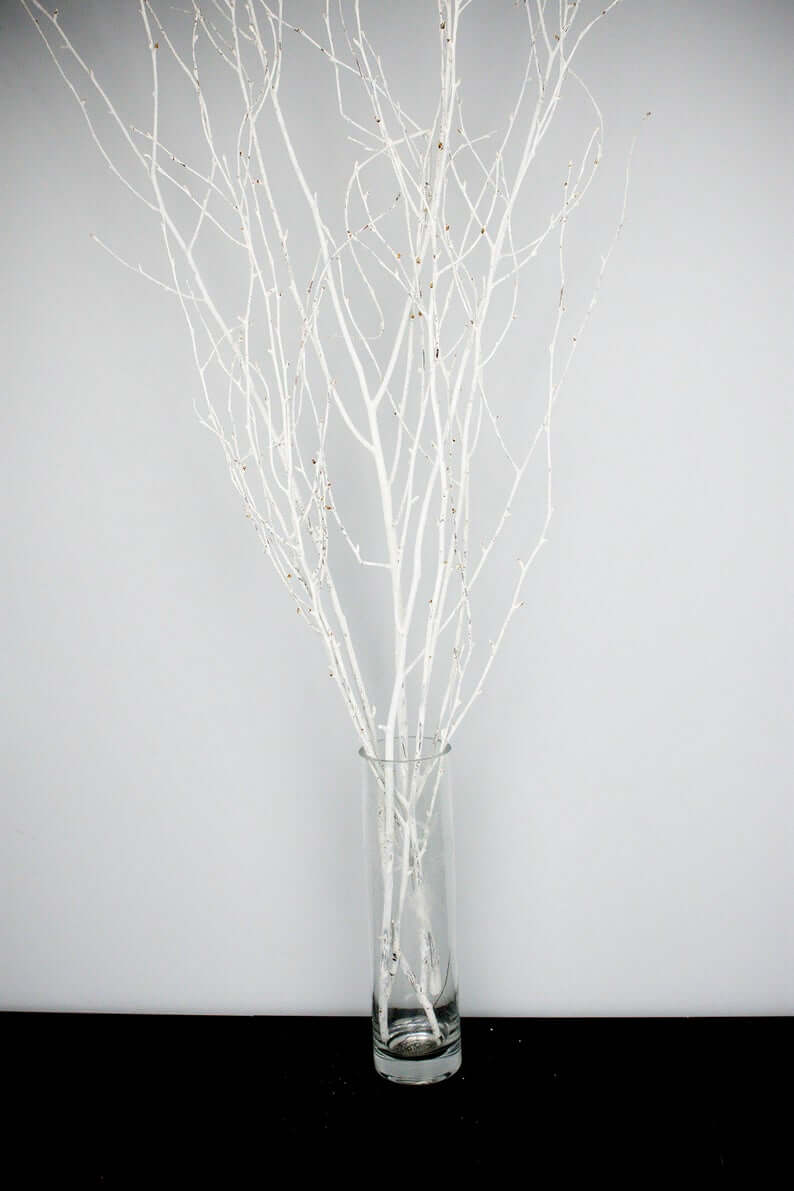 White Painted Branches with Endless Creative Possibilities