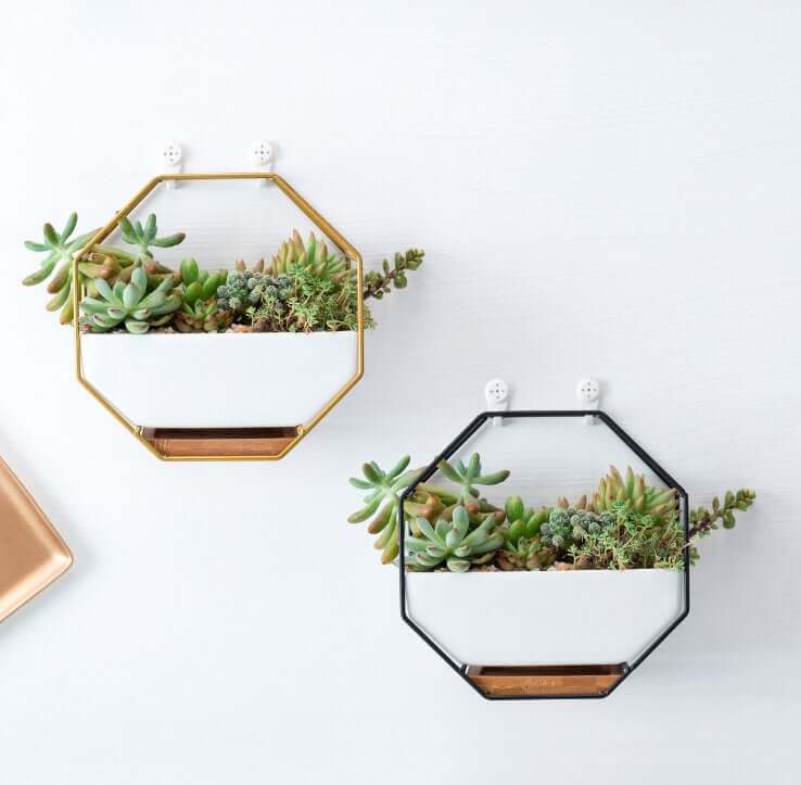 Floating Octagon Planter Shelves