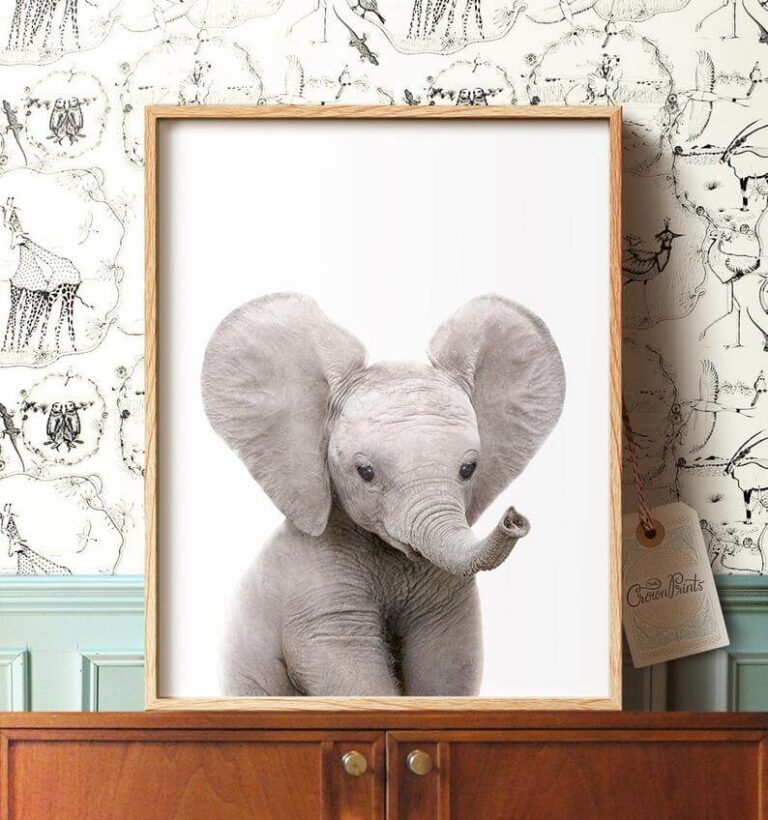 24 Best Animal Themed Home Decor Ideas for an Adorable Space in 2021