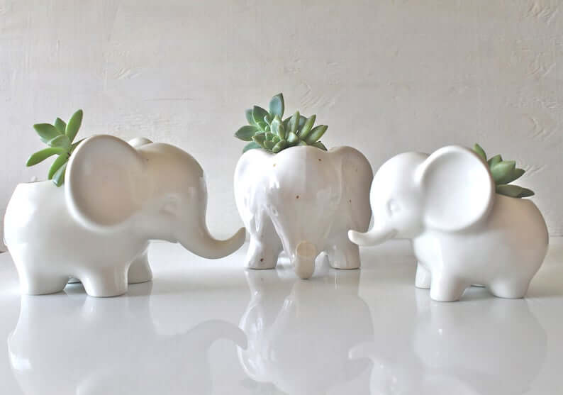 Mini Elephant Ceramic Decor Planters — Homebnc