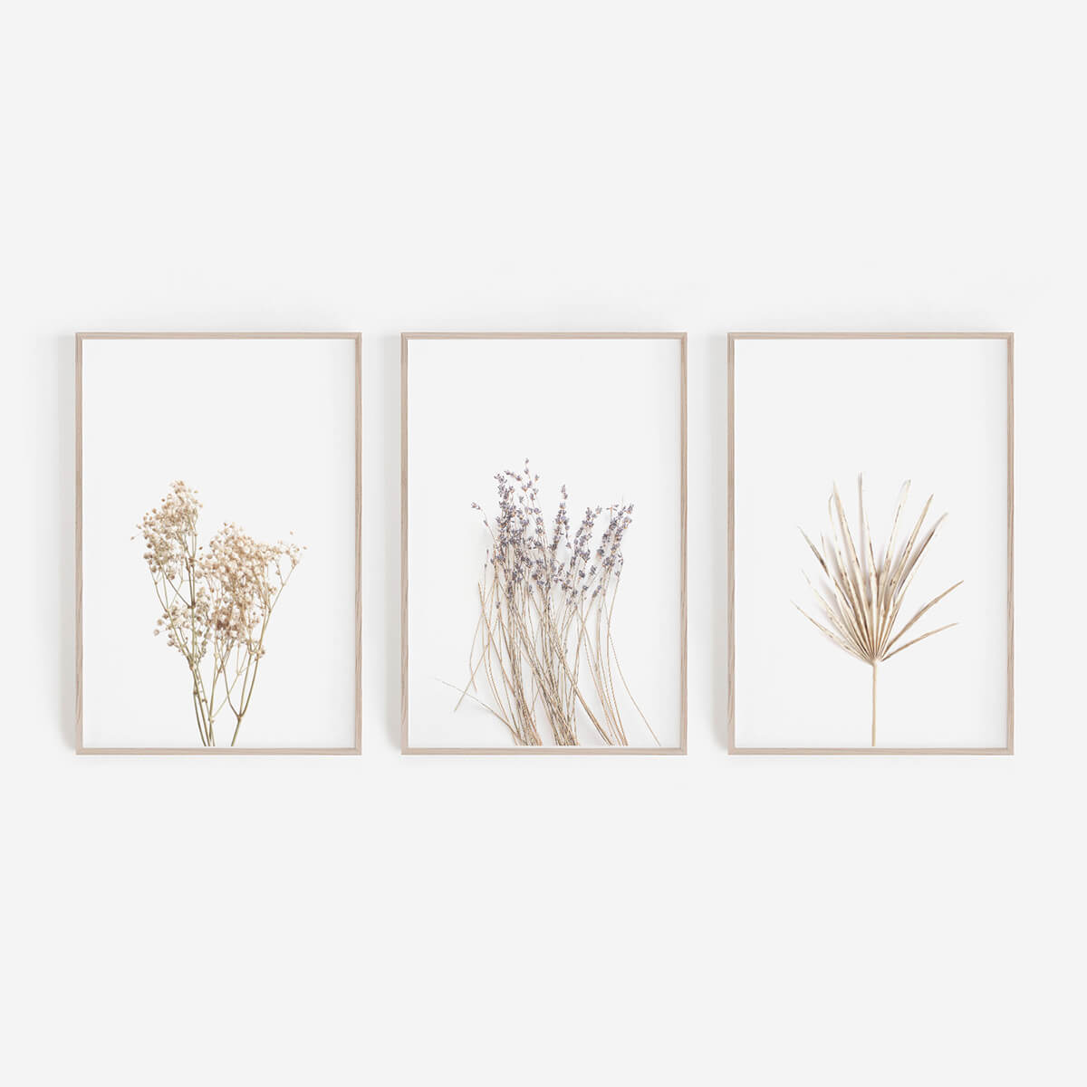 Baby's Breath and Wildflower Collection of Vintage Shabby Chic Prints