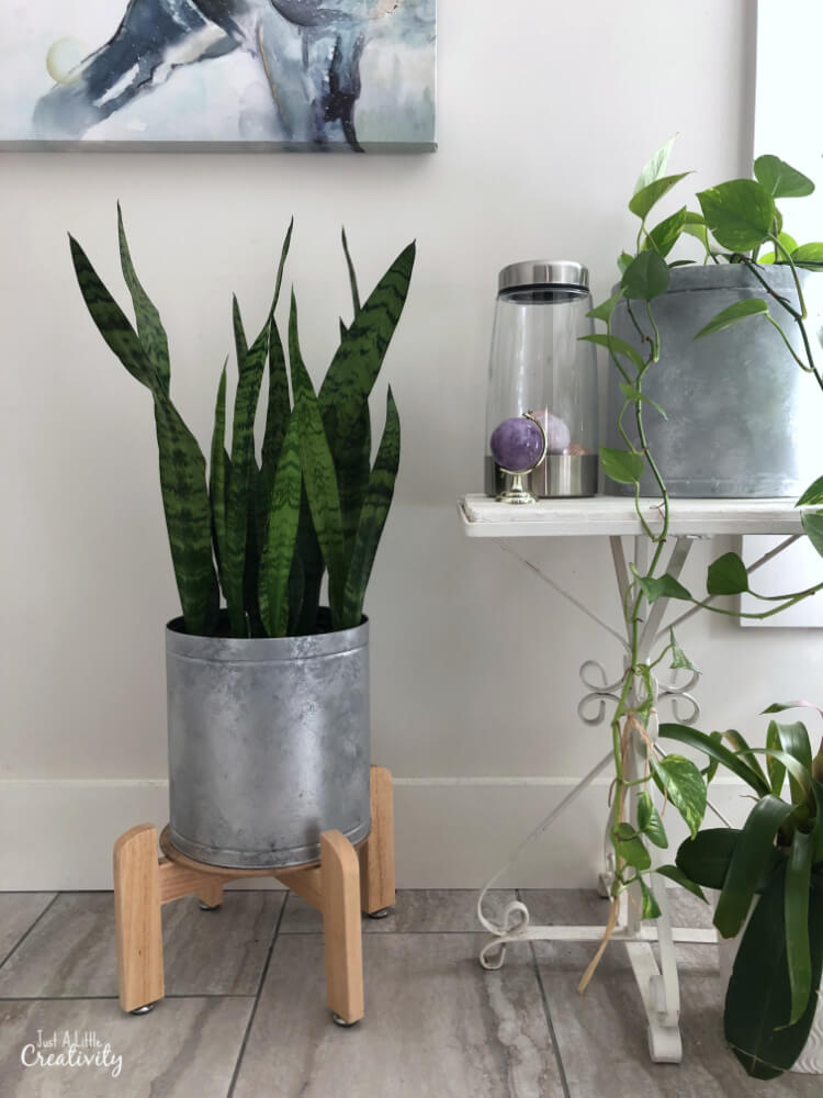 DIY Rustic Tin Plant Holder