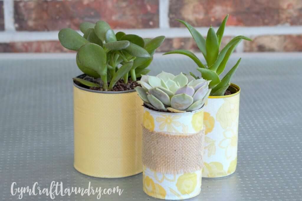 Tin Can Decoupage Succulent Planters