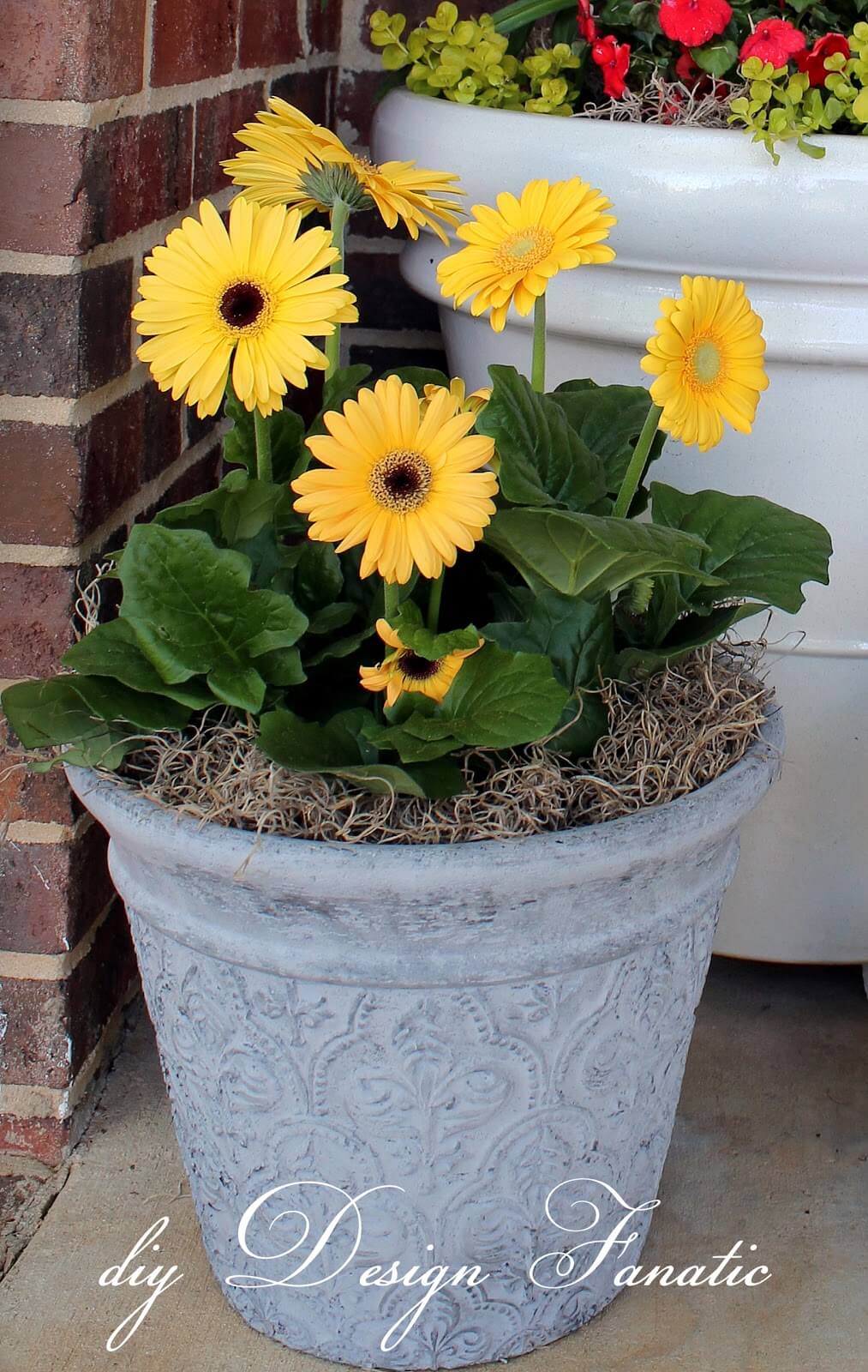 29 Best Front Door Flower Pots Ideas And Designs For 2020,Nail Designs Pictures 2016