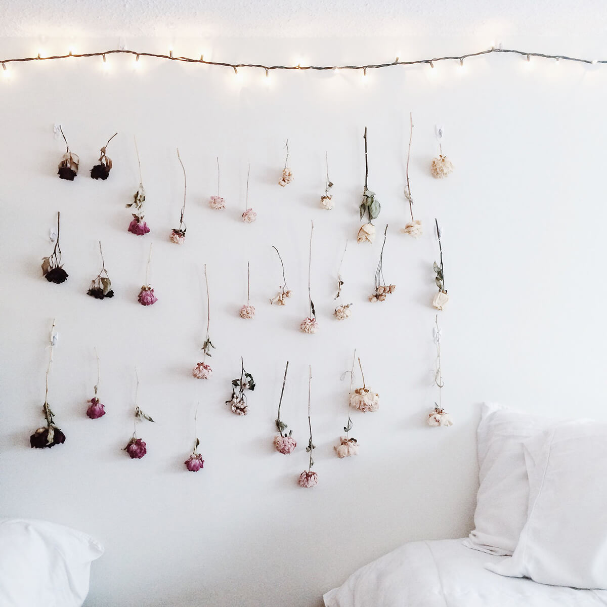 Sparking Twinkle Lights with Dried Flower Display Flower Garland