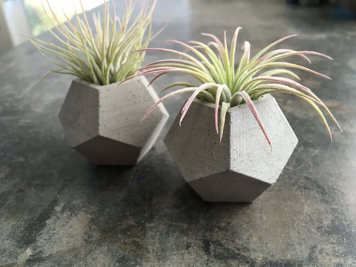 Set of Two Concrete Geometric Planters