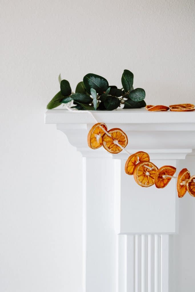 Orange You Glad to Have This Garland