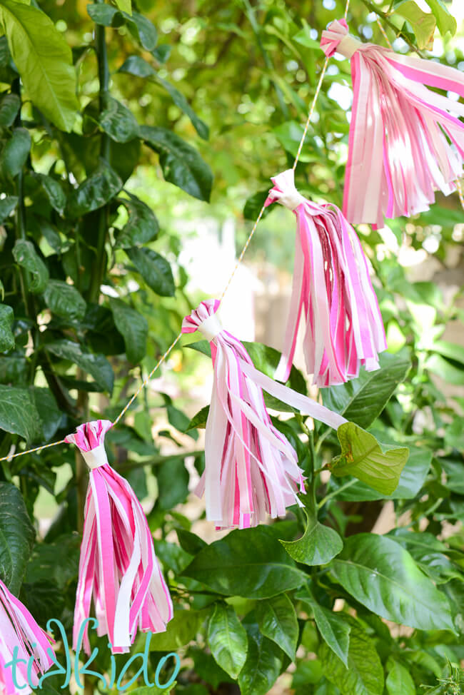 Pretty in Pink Tasseled Girly Garland