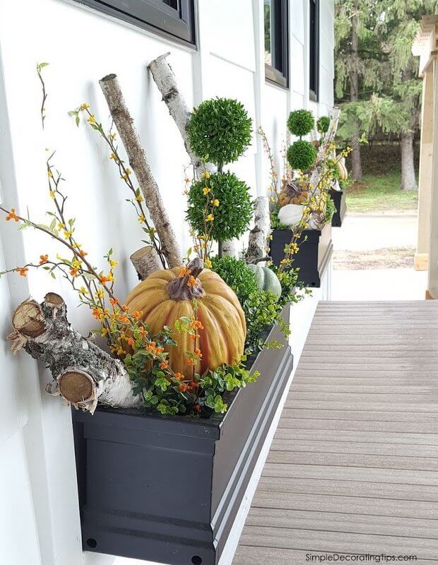 Disposition de boîte à fenêtre avec citrouilles et branches d'automne