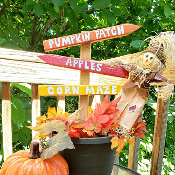 Scarecrows, Pumpkins, and Mazes- Oh My!