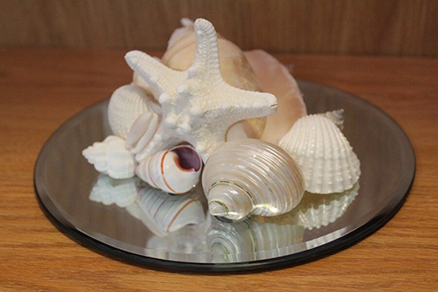 Elegantly Arranged Seashells on Mirrored Pedestal