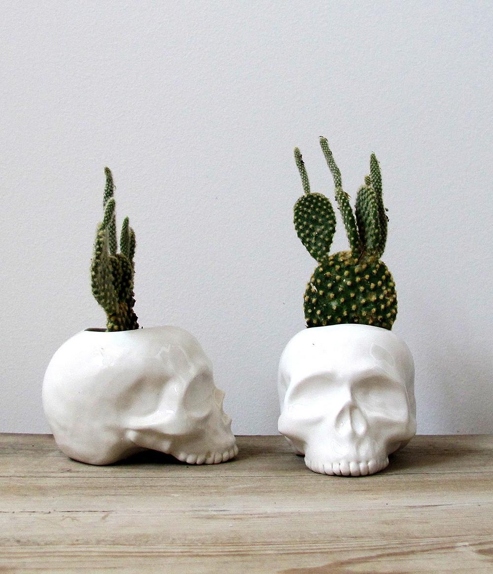 Skull Plant Holders