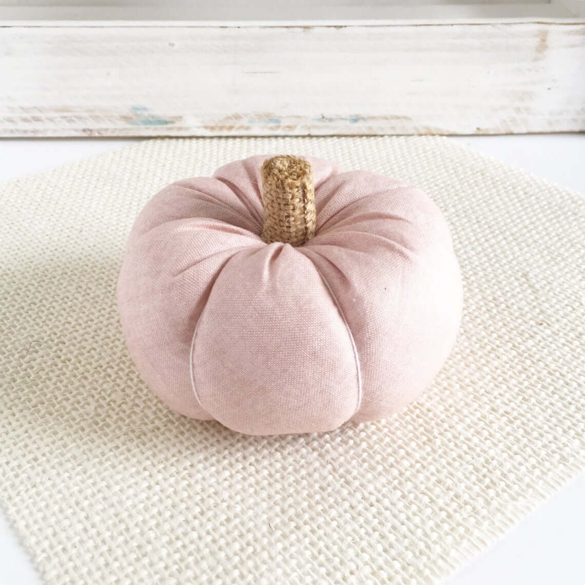 Plump and Pretty Neutral Pumpkin Decoration