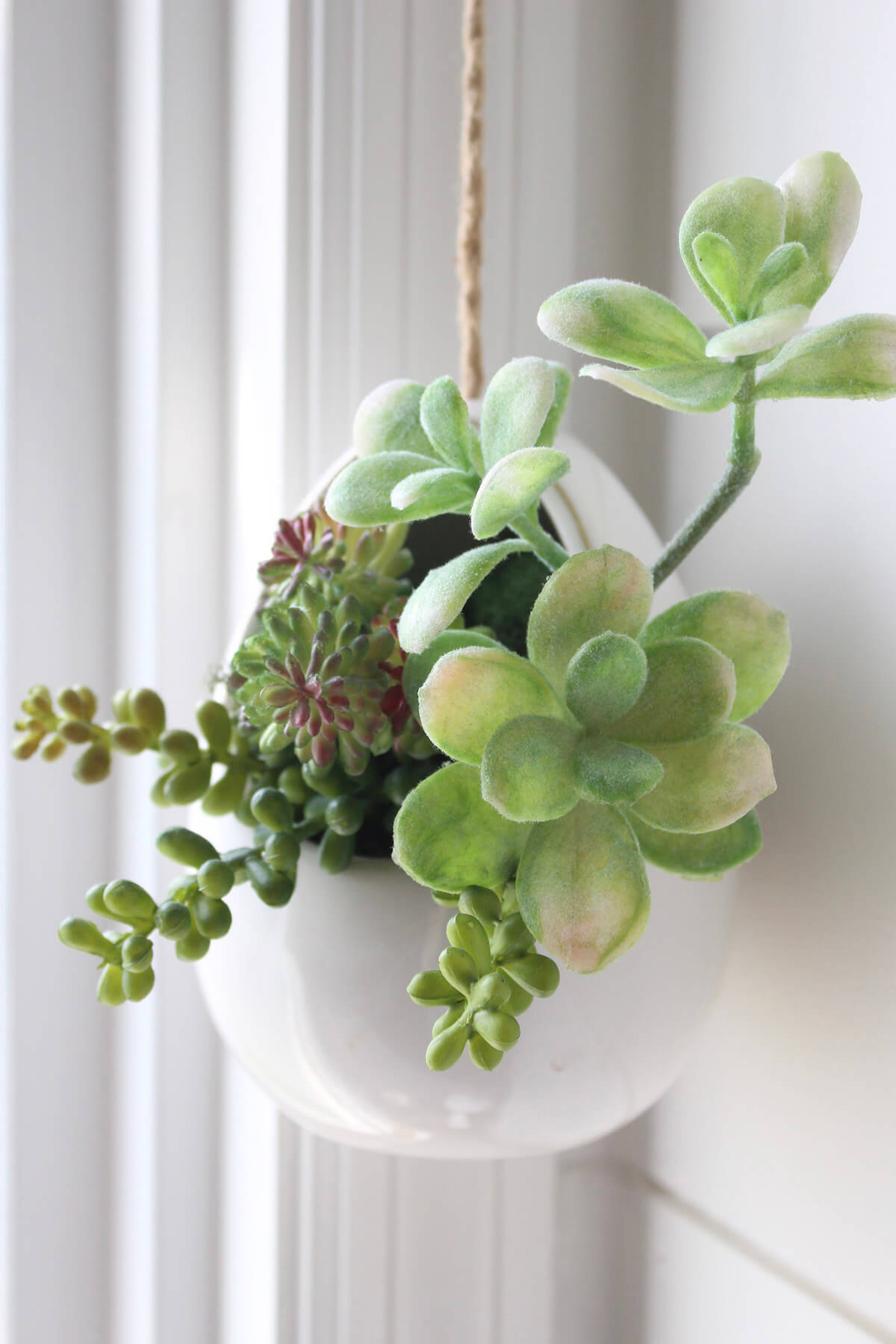 One-of-a-Kind Hanging Succulent Arrangement