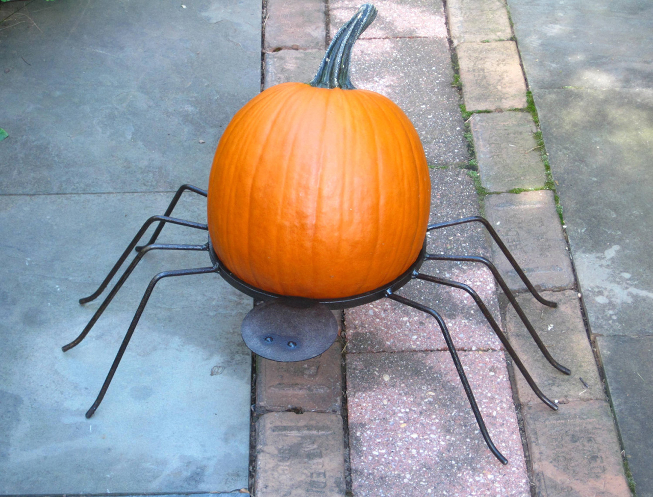 Spider Pumpkin Holder