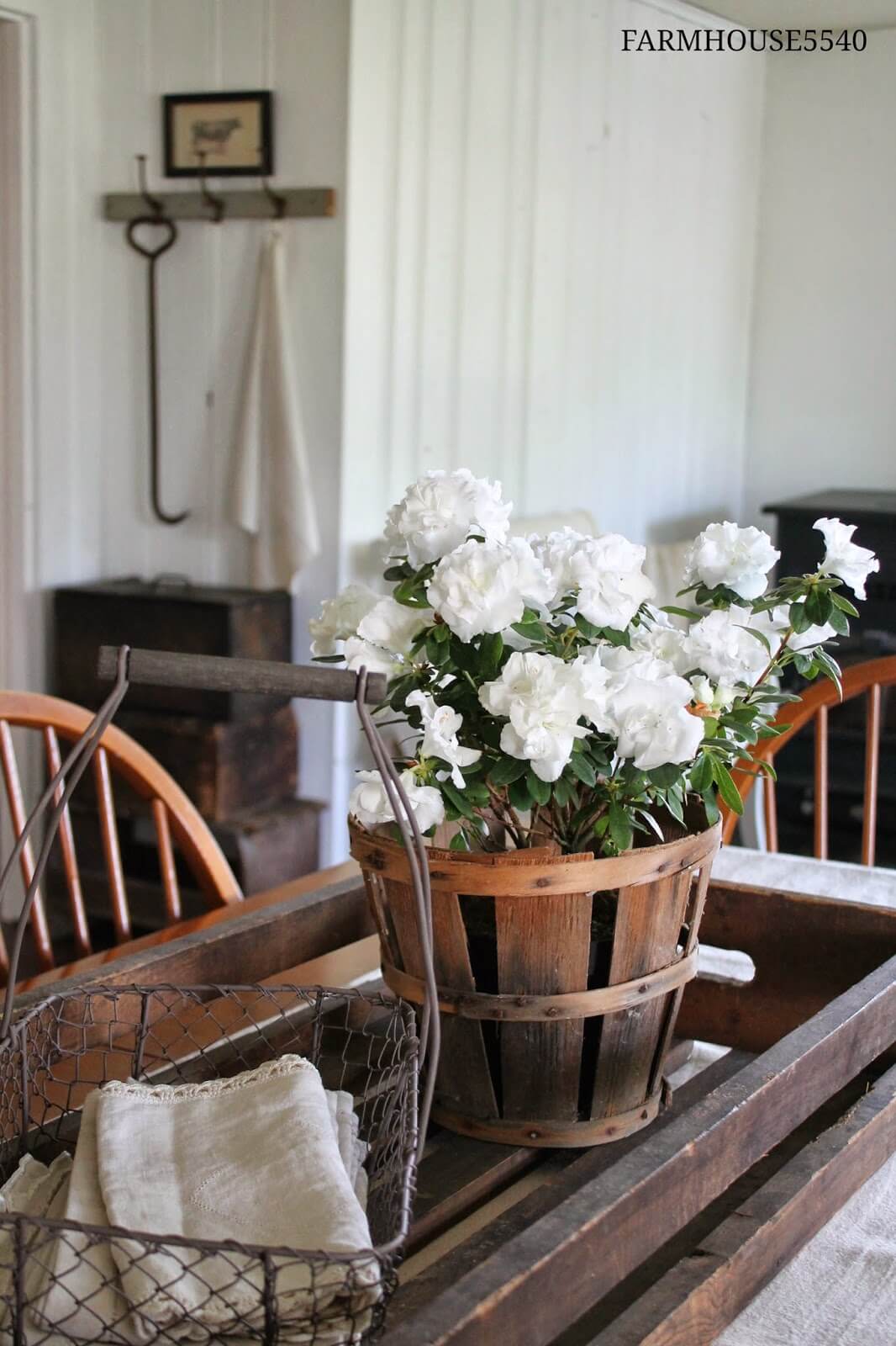 Farm Containers and Beautiful White Flowers