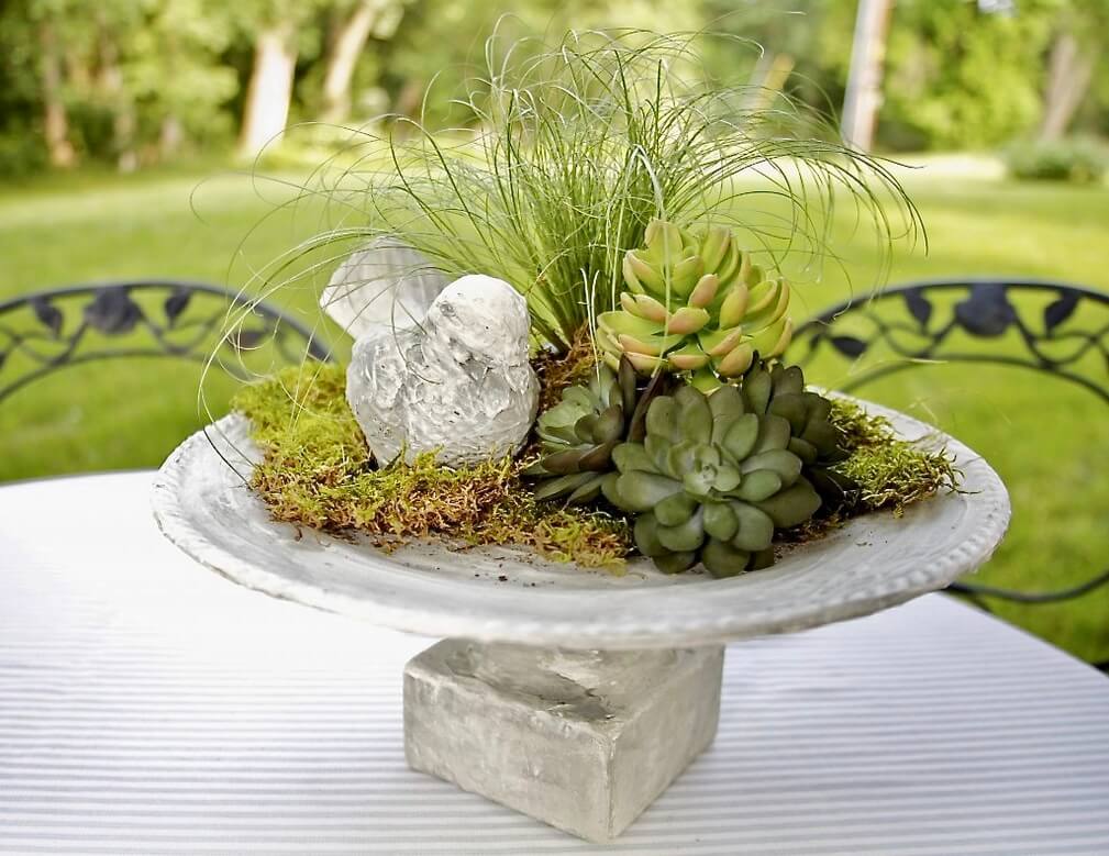 Fall Centerpieces: A Platter Full of Succulents and Moss