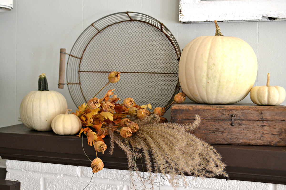 Chicken Wire Tray Background for Spilling Flowers