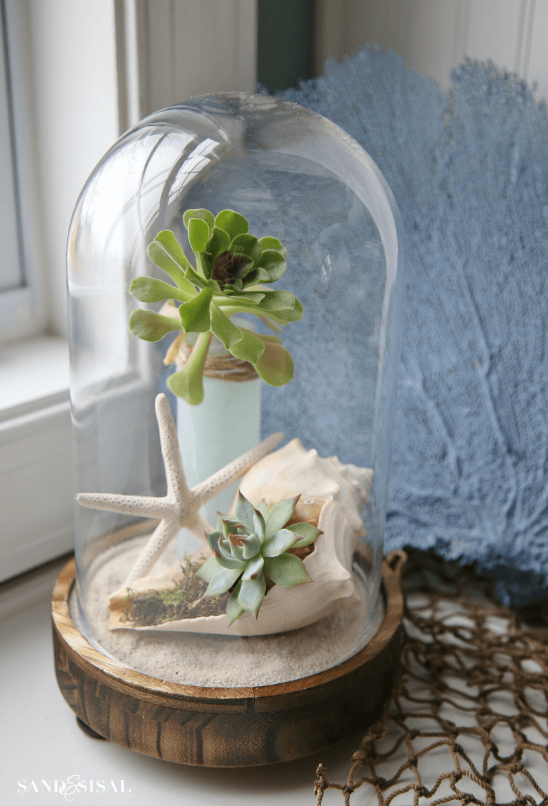 DIY Coastal Cloche Farmhouse Decor