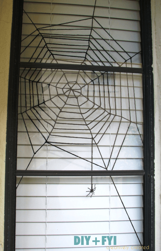 Window Spider Web and Dangling Spider