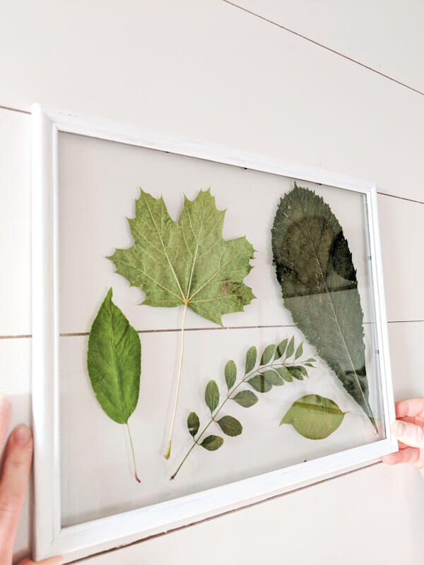 Glass Framed Hanging Leaf Arrangement