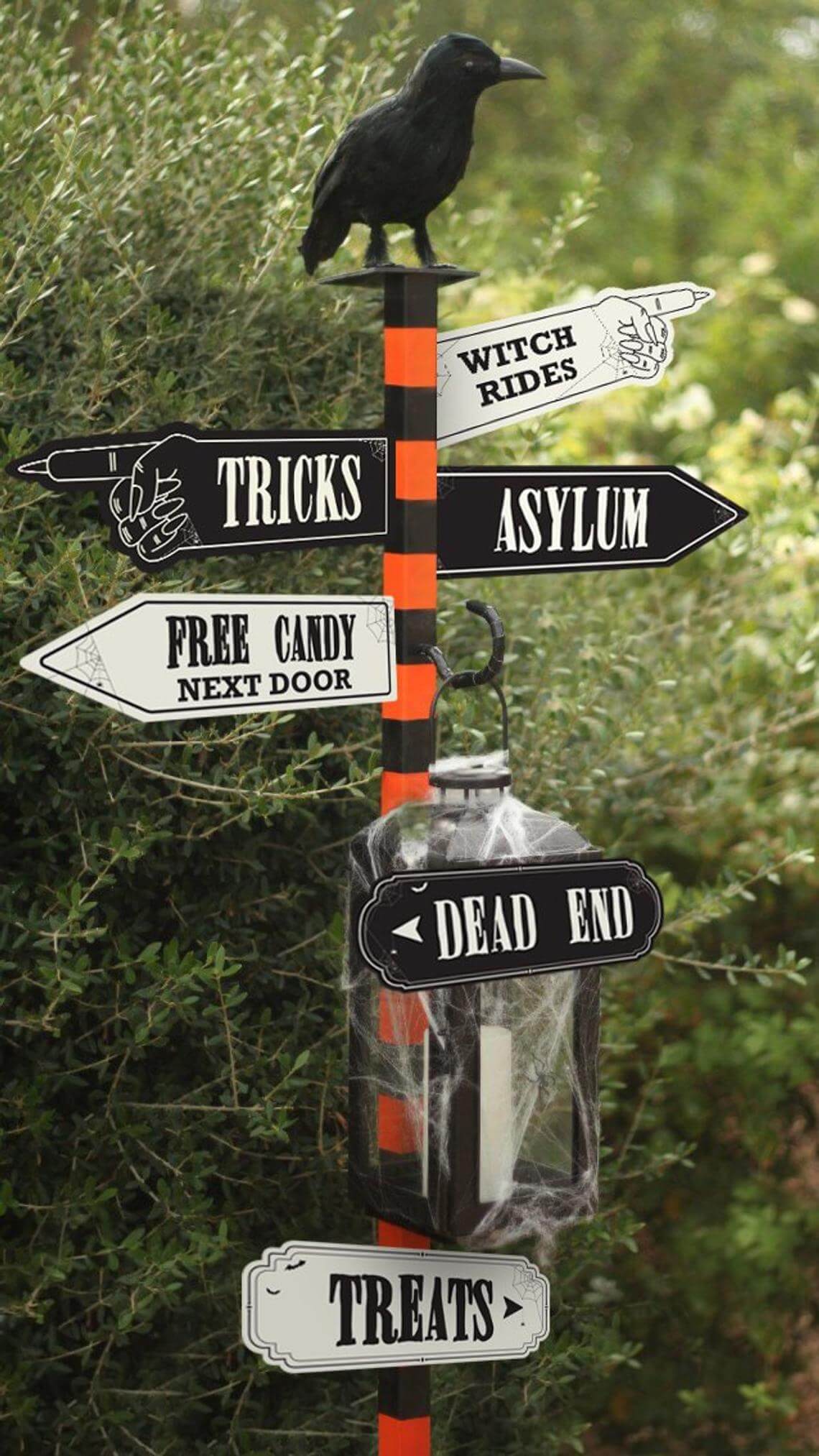 Haunted Raven Directional Striped Sign