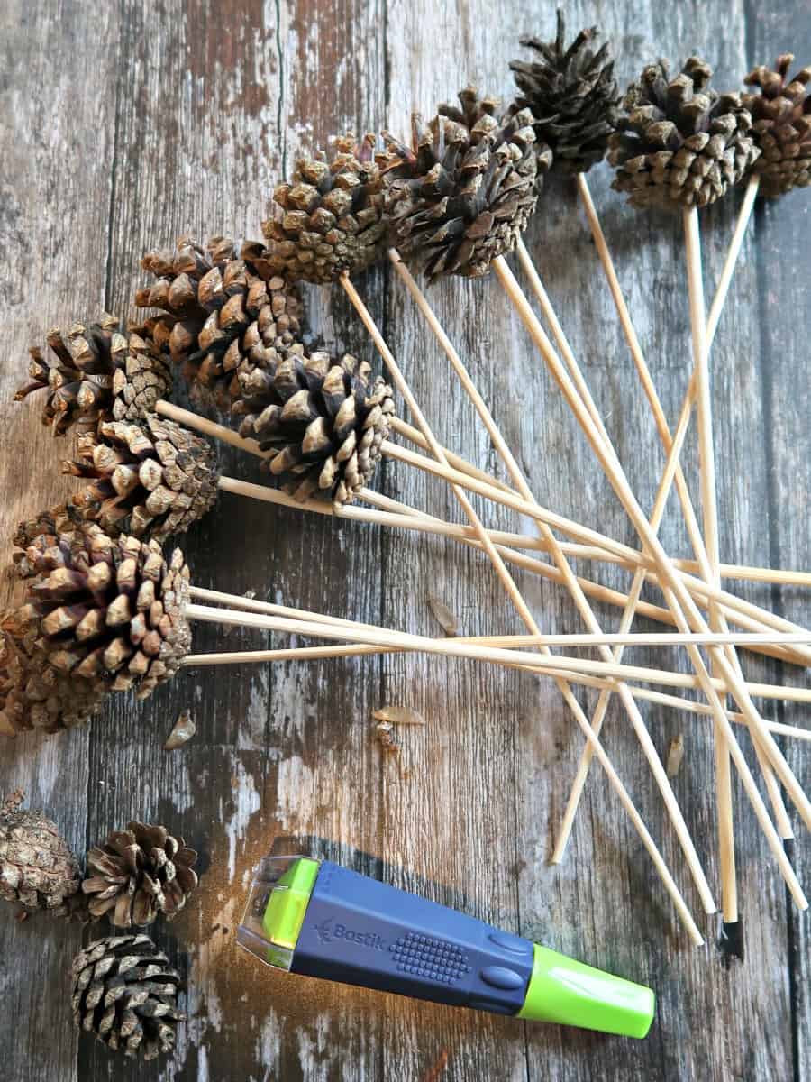 Pinecone Picks for Floral Arrangements