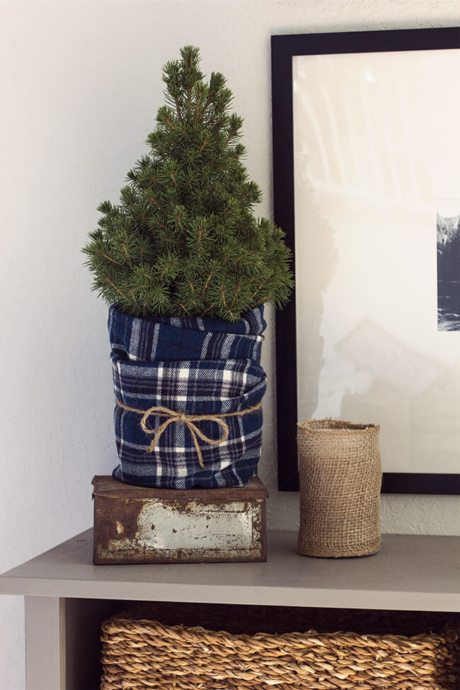Petite Tree Wrapped in Blue Flannel