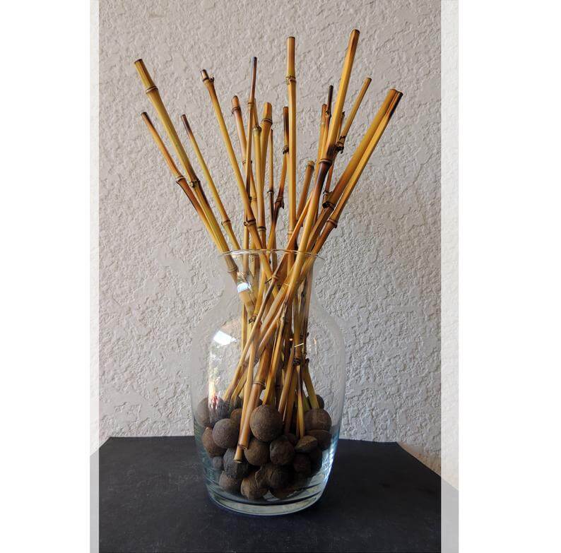 glass-vase-filled-with-bamboo-sticks-homebnc