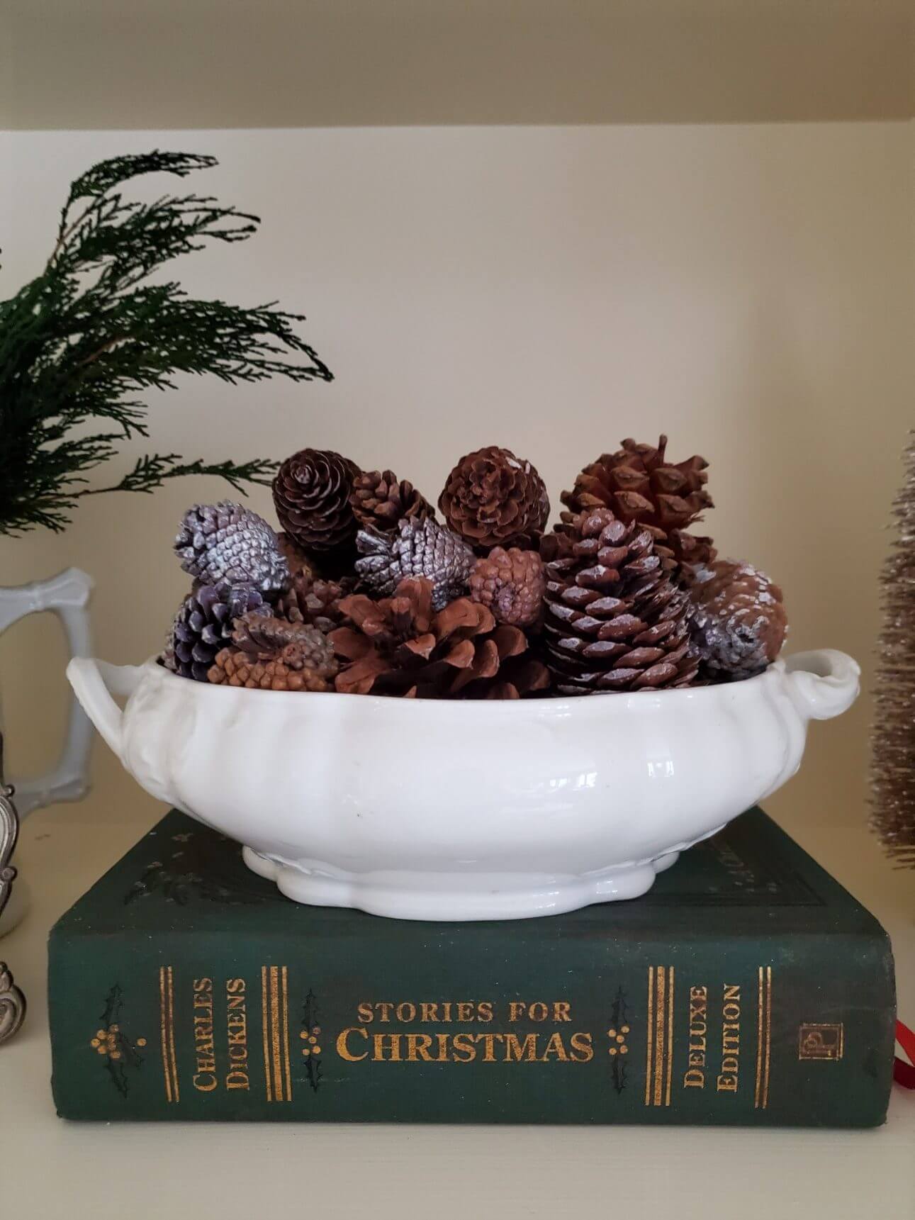 Shiny Rustic Brown Pinecone Collection