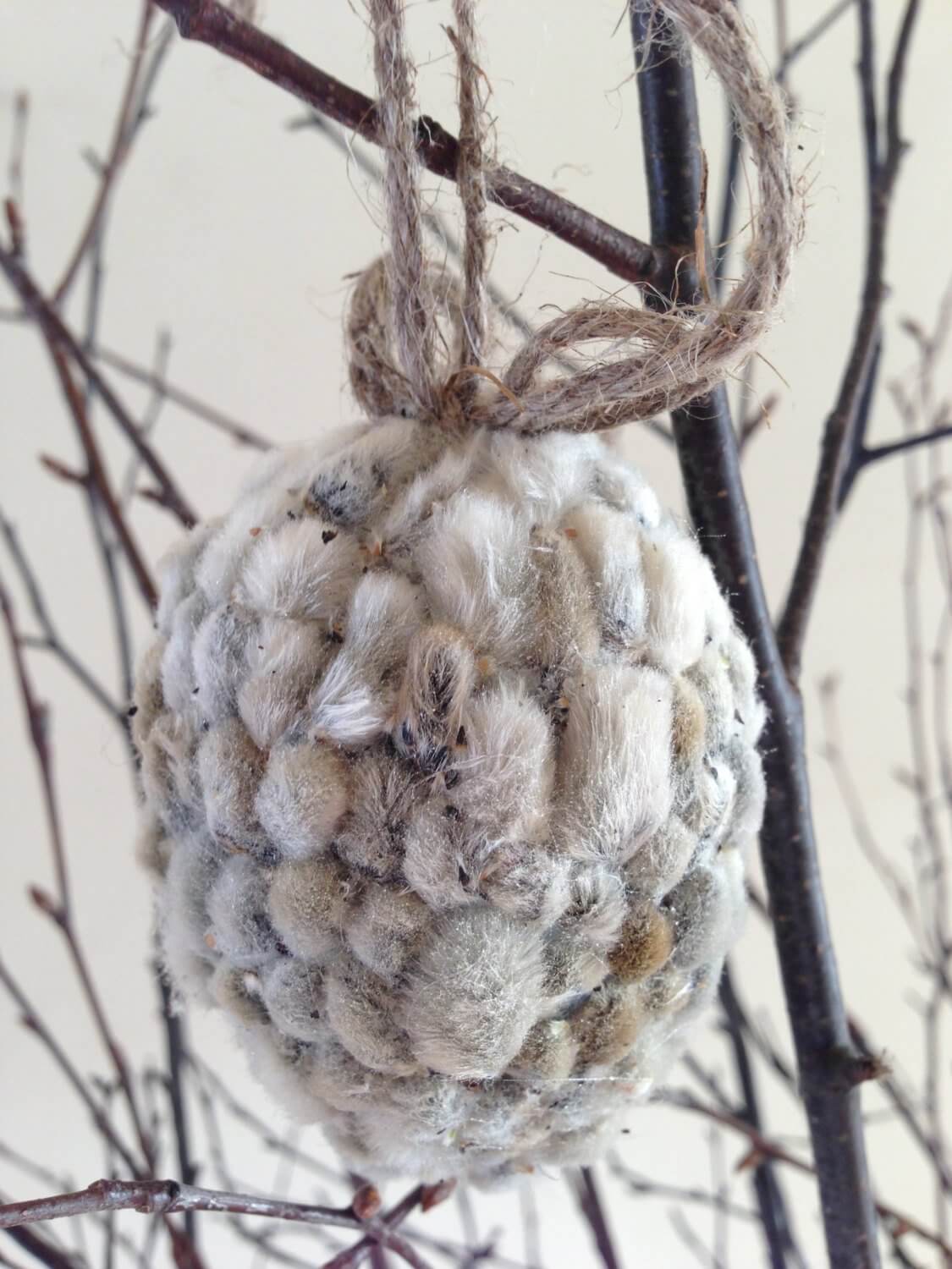 Rustic Catkin Hanging Easter Eggs