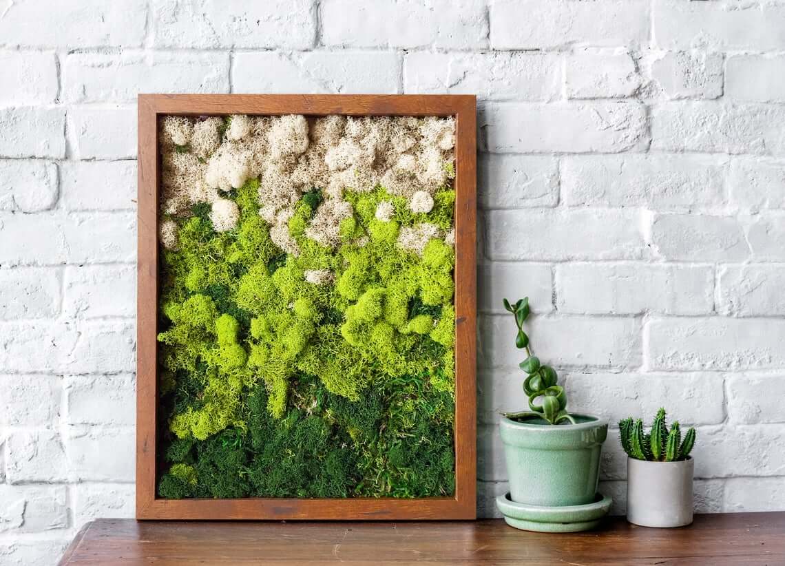 Preserved Terrarium Moss Wall Decor