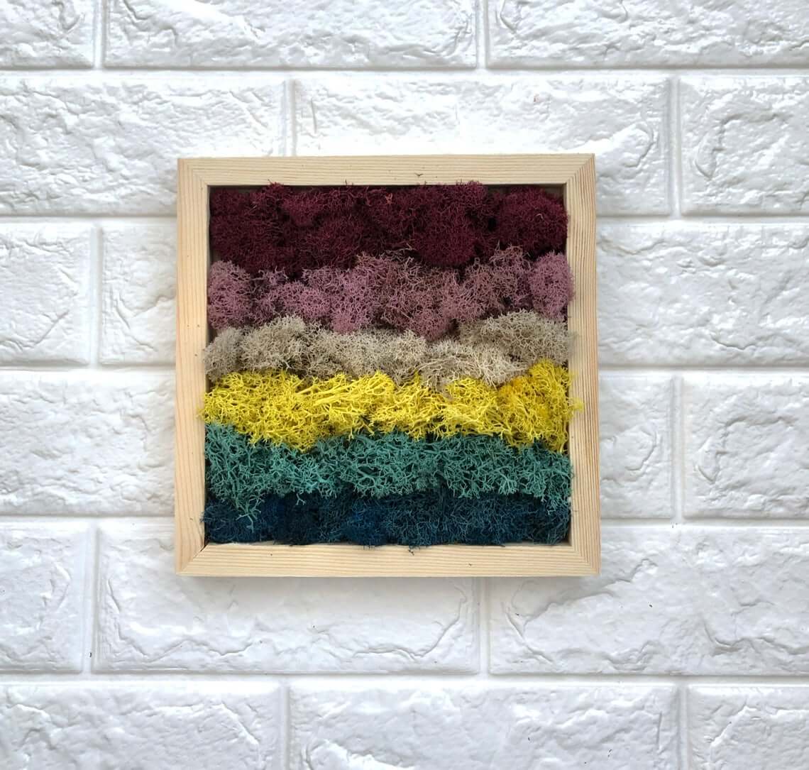 Colorful Dried Moss Art Frame