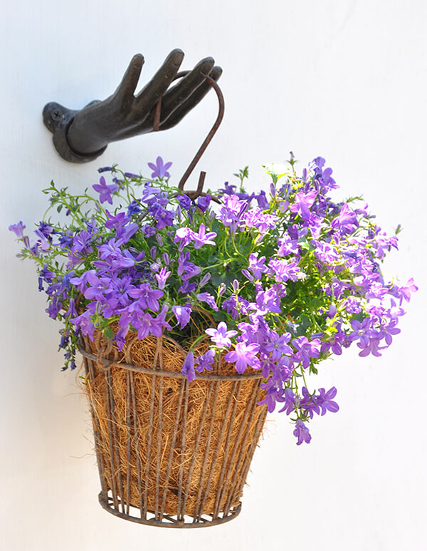 Hand and Hook Wire Flower Basket Holder