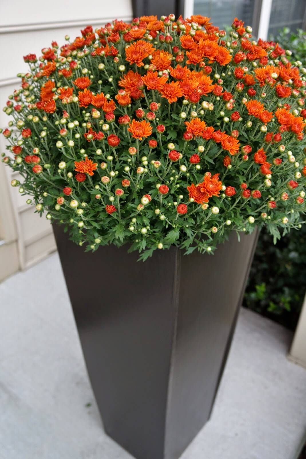 Tall Tapered Modern Porch Planter