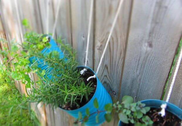 Herb Garden with Upcycled Tin Cans