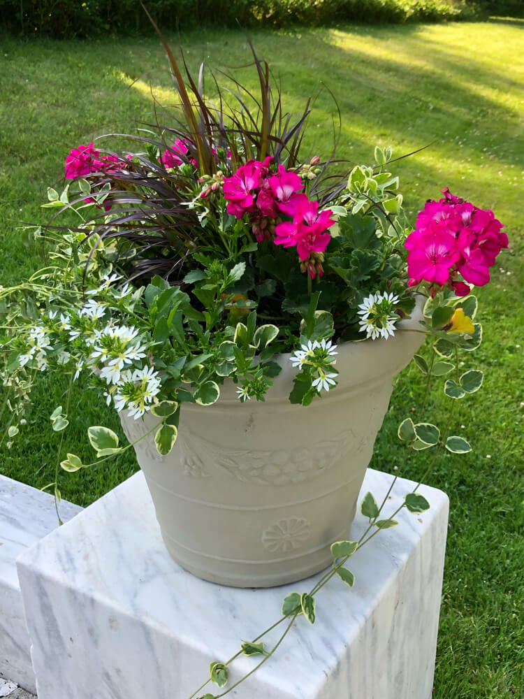 A Pot of Flowers to Enhance Your Home Decoration
