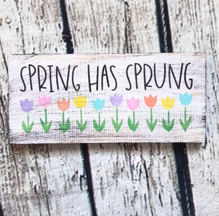 Rustic “Spring Has Sprung” Home Decoration