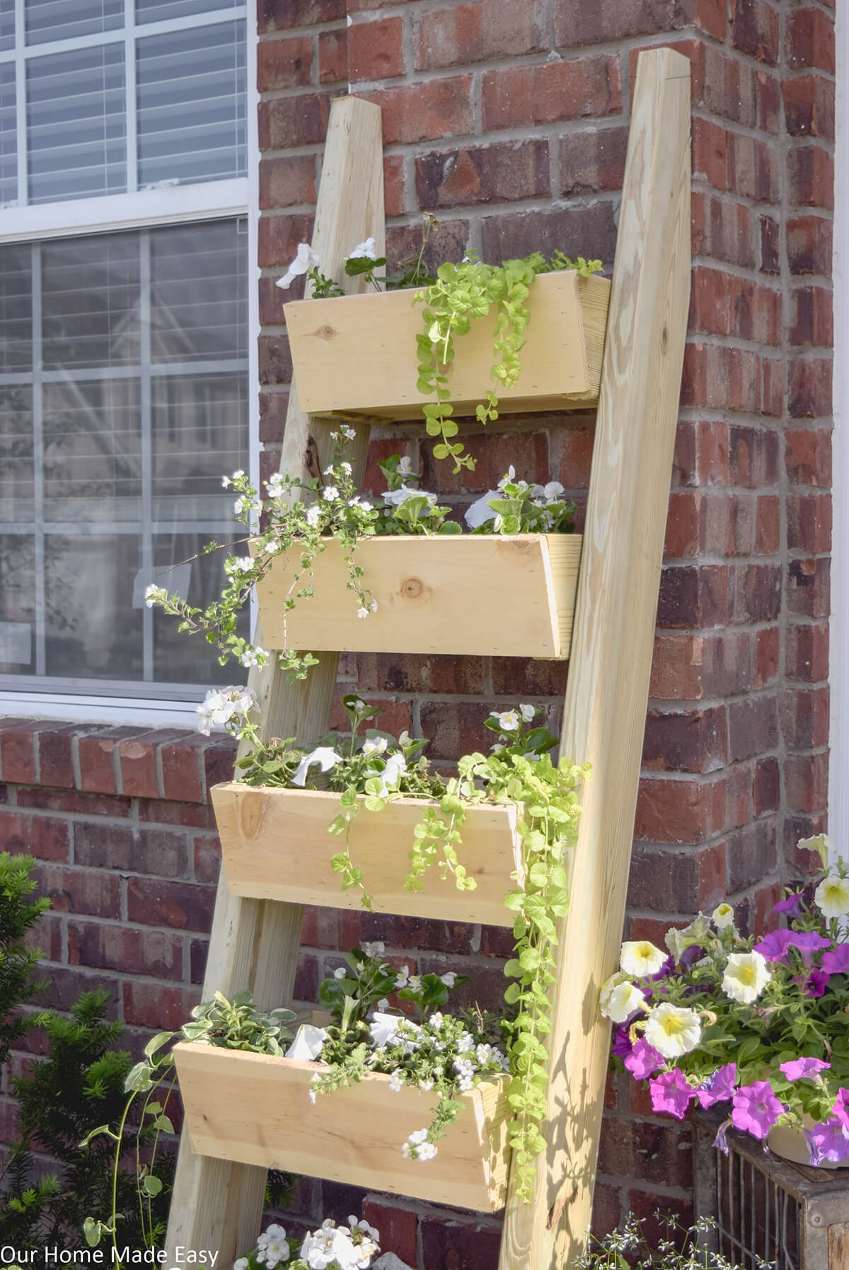 トラフステップと木製の植物のはしご
