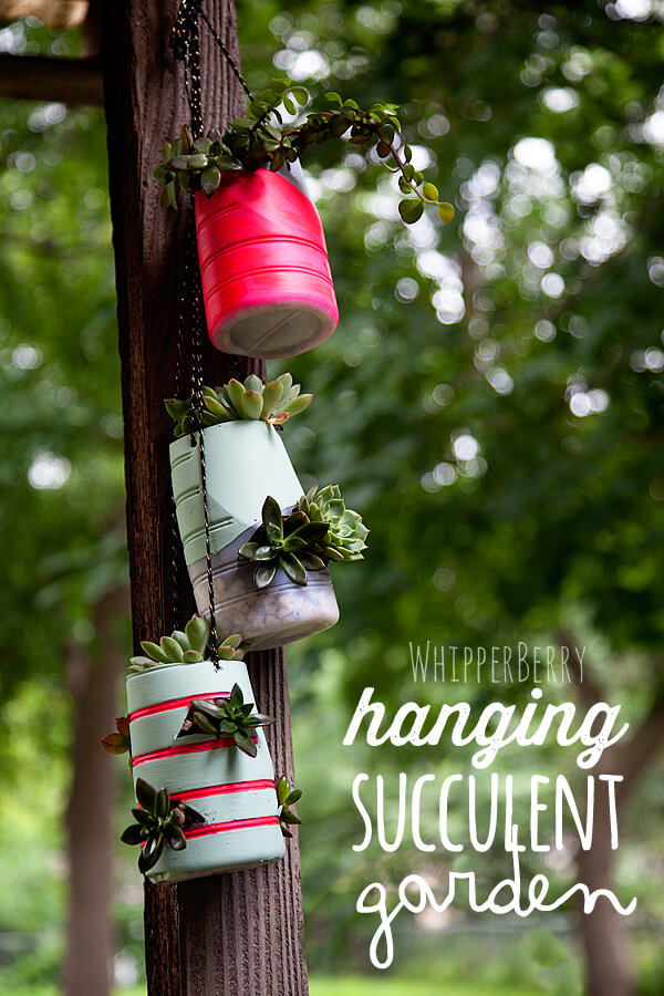 Coffee Creamer Hanging Succulent Garden