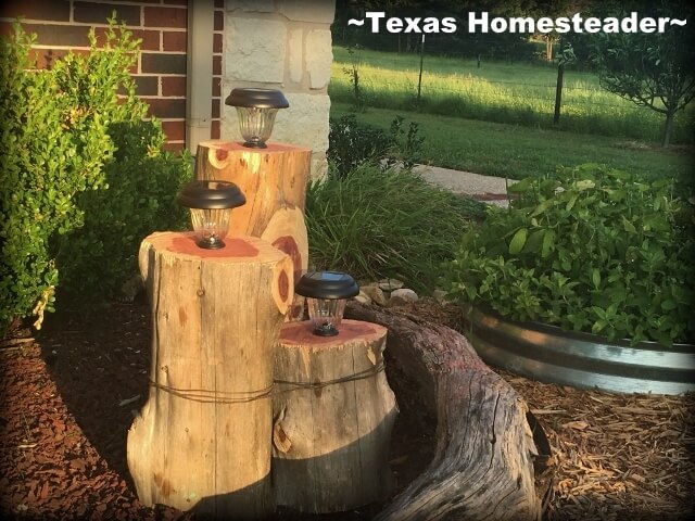 Rustic and Beachy Cedar Light Holders