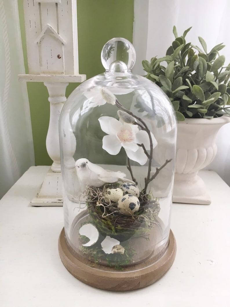 Glass Dome Cloche with Wooden Base Bird Nest Display
