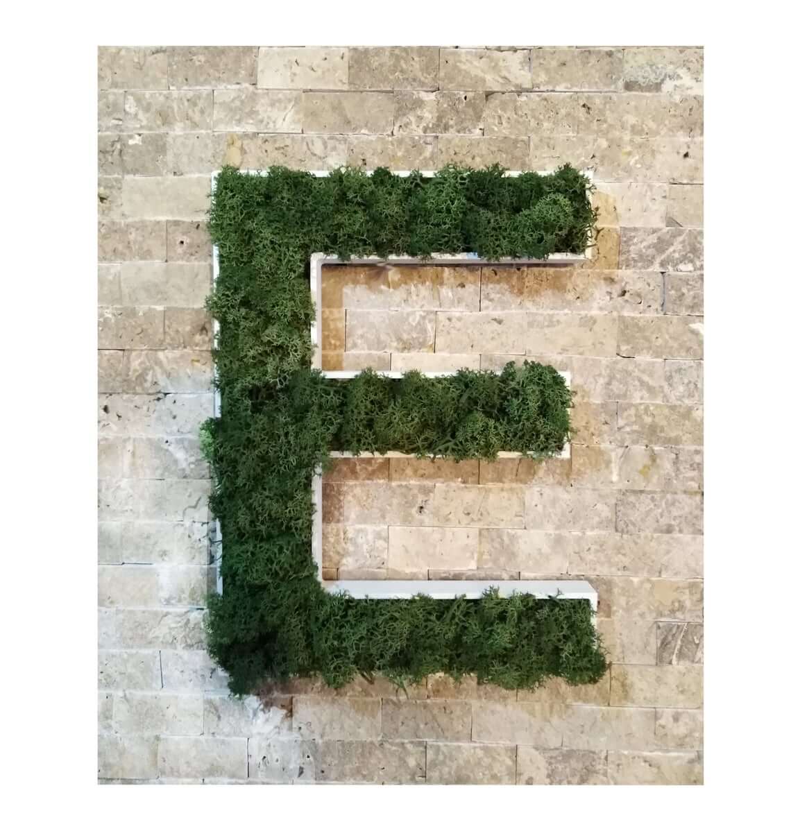 Custom Moss Covered Wall Piece