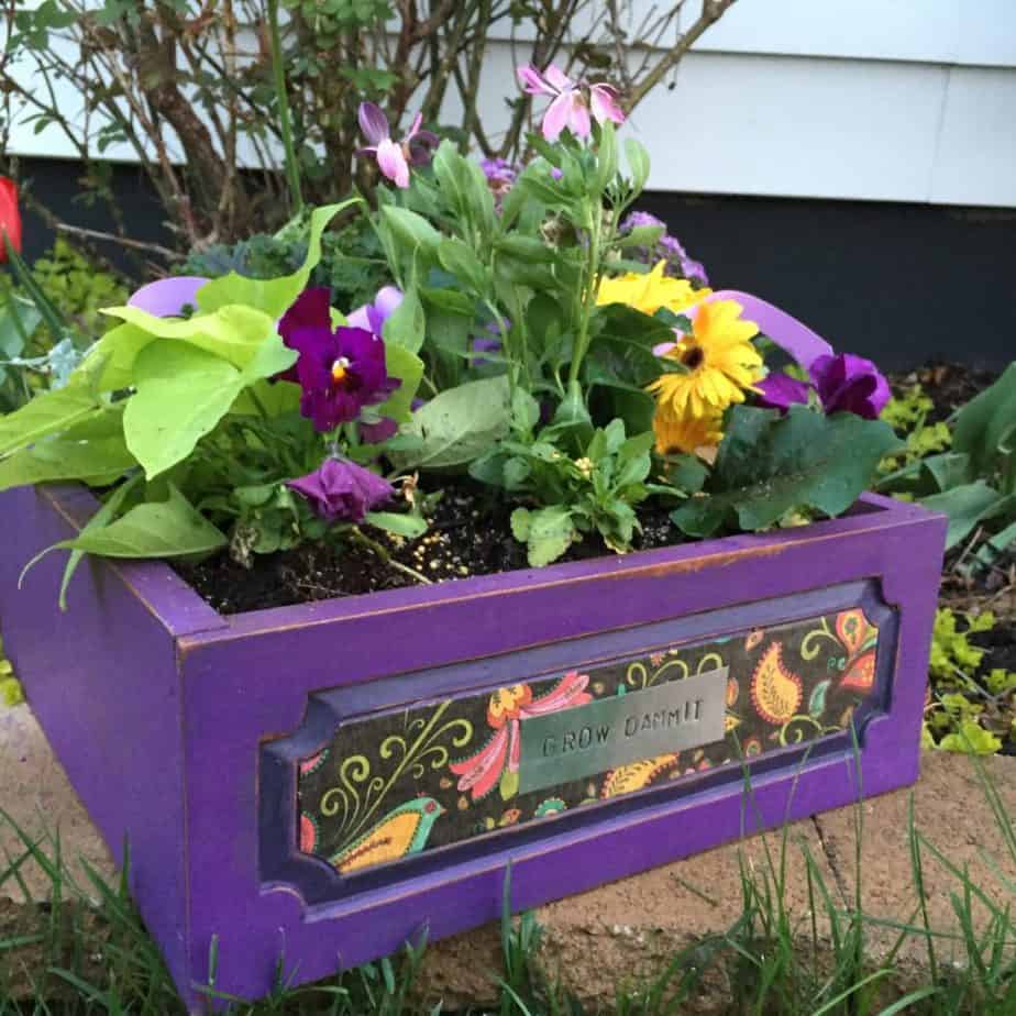 Vibrante Violeta e Decoupage Plantador de Caixa