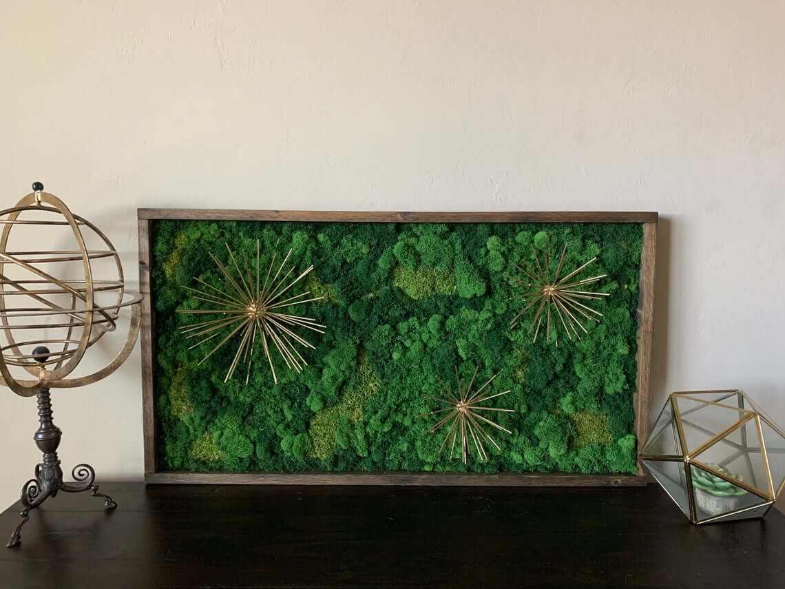 Real Starburst Living Moss Art