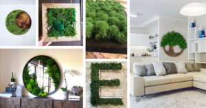 Best Moss Wall Arts